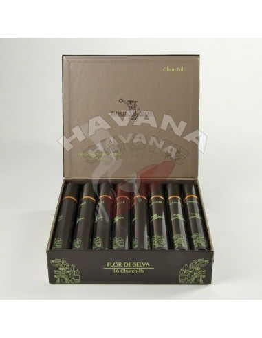 Flor de Selva Churchill Tubos - купить в интернет-магазине Havana Smoke