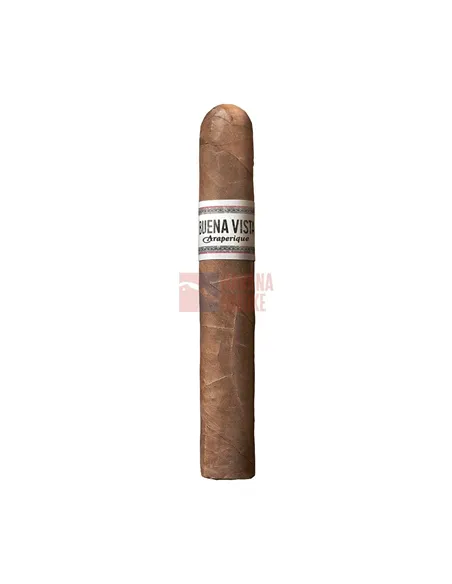 Сигара Buena Vista Araperique Robusto