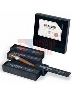 Сигара Buena Vista Araperique Churchill