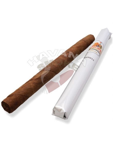 Сигариллы Principes Chicos Vanilla - купить в интернет-магазине Havana Smoke