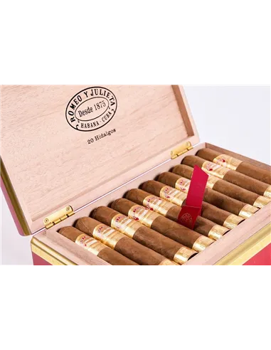 Romeo y Julieta Hidalgos