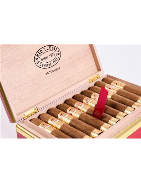 Romeo y Julieta Hidalgos