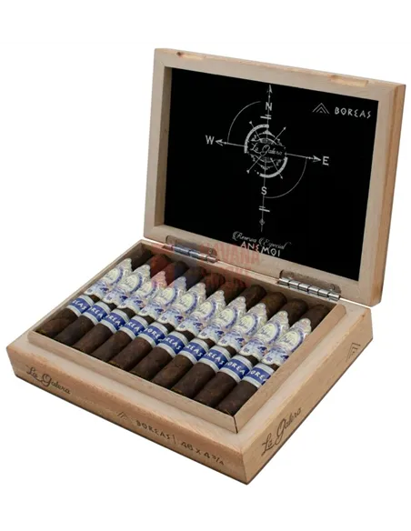 Сигара La Galera Anemoi Boreas