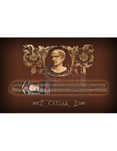 Bossner Caesar (коробка из 10 сигар) - купить в интернет-магазине Havana Smoke