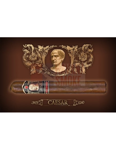 Bossner Caesar (коробка из 10 сигар) - купить в интернет-магазине Havana Smoke