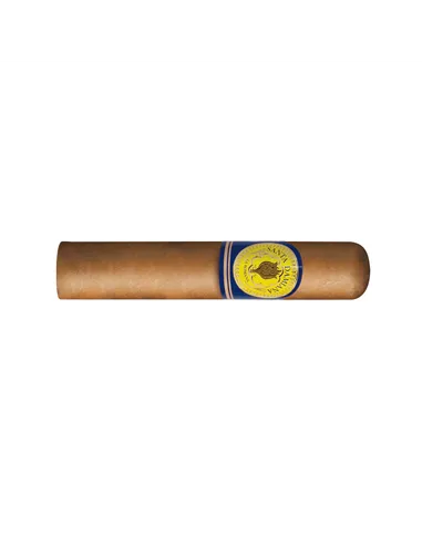 Santa Damiana Robusto