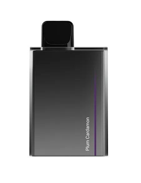 POD-система SOAK CUBE - Слива с кардамоном (7.000 затяжек) - 2% (1 шт.)