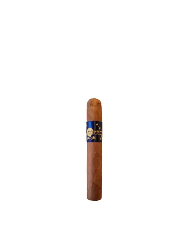 Principle Accomplice Connecticut Robusto