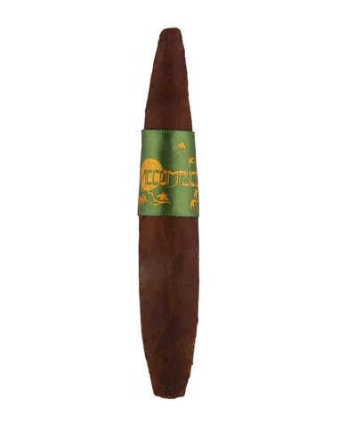 Principle Accomplice Maduro Short Perfecto