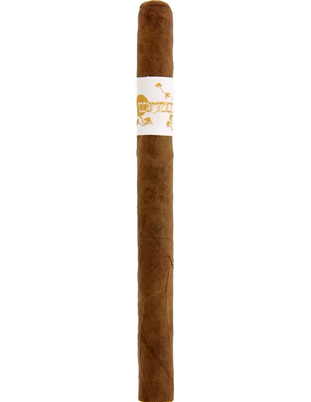 Principle Accomplice Classic Lancero