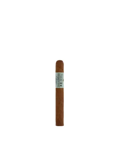 Principle Archive Line Collection Straphanger Mareva