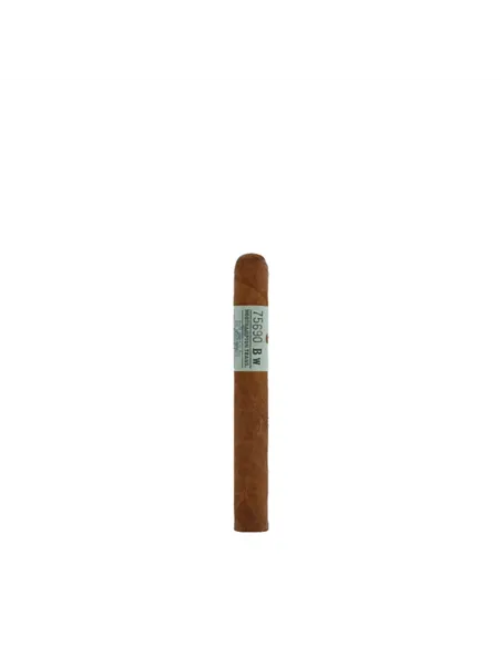 Principle Archive Line Collection Straphanger Mareva