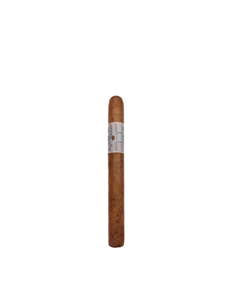 Principle Archive Line Collection Straphanger Corona Gorda