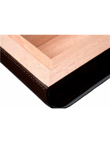 Хьюмидор Gentili Iguana на 25 сигар Limited Edition