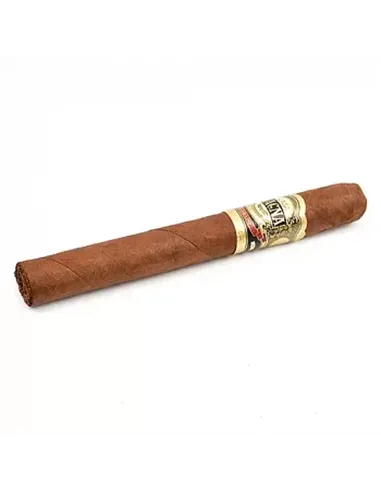CASA MAGNA - COLORADO CORONA