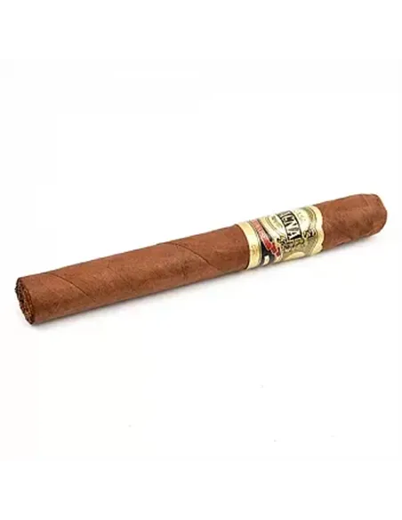 CASA MAGNA - COLORADO CORONA