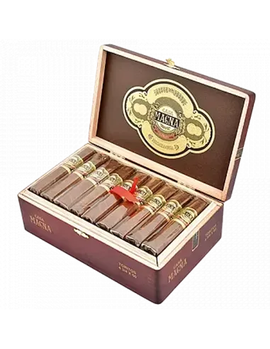 CASA MAGNA - COLORADO TORITO 