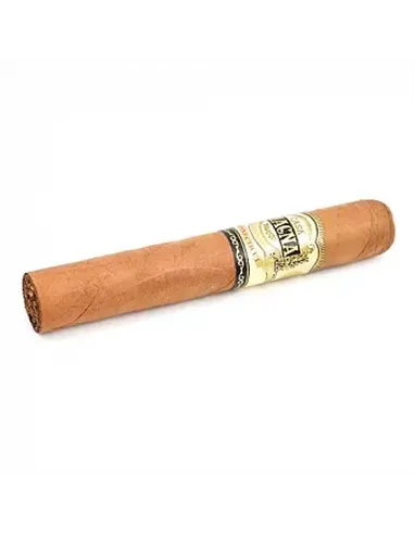 CASA MAGNA - CONNECTICUT ROBUSTO