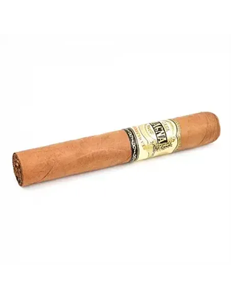 CASA MAGNA - CONNECTICUT ROBUSTO