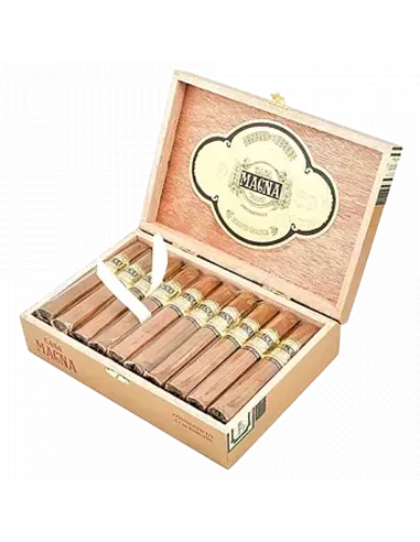 CASA MAGNA - CONNECTICUT ROBUSTO