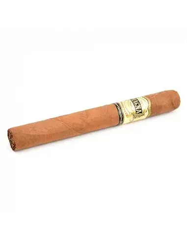 CASA MAGNA - CONNECTICUT TORO