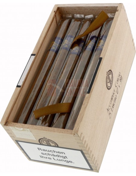 Principle Accomplice Corojo Lancero - купить в интернет-магазине Havana Smoke