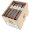 Купить Principle Accomplice Classic Robusto