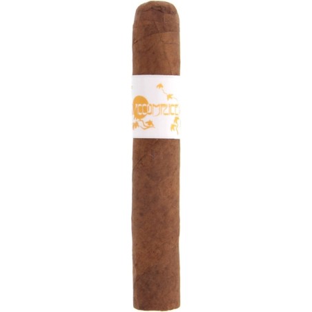 Купить Principle Accomplice Classic Robusto