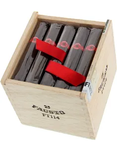 Tatuaje Fausto FT 114 (25)