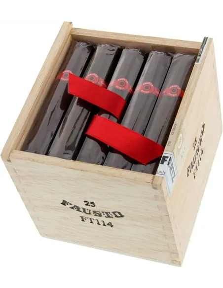 Tatuaje Fausto FT 114 (25)