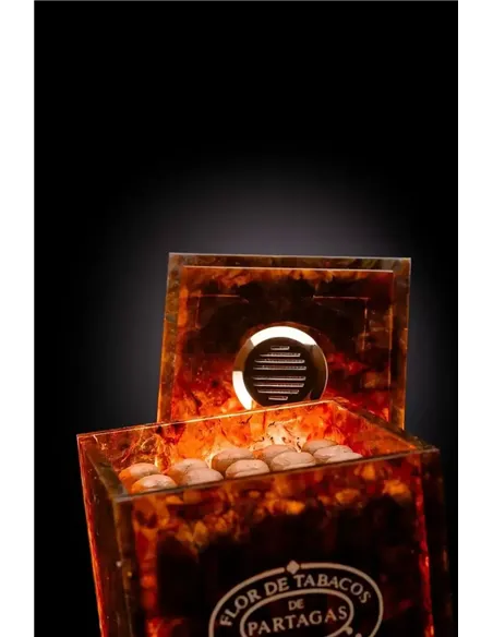 Кубинские сигары Art Nouveau Serie Partagas Shorts Vintage 2007