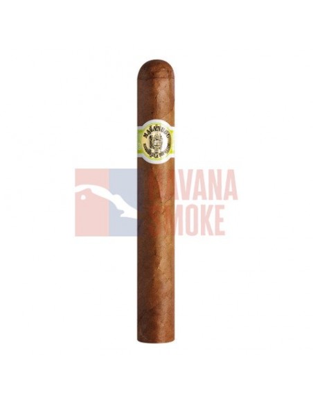 MACANUDO CONNECTICUT HYDE PARK - купить в интернет-магазине Havana Smoke