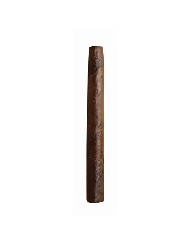 Сигариллы Dutch Delites Wild Brasil (50 шт.)