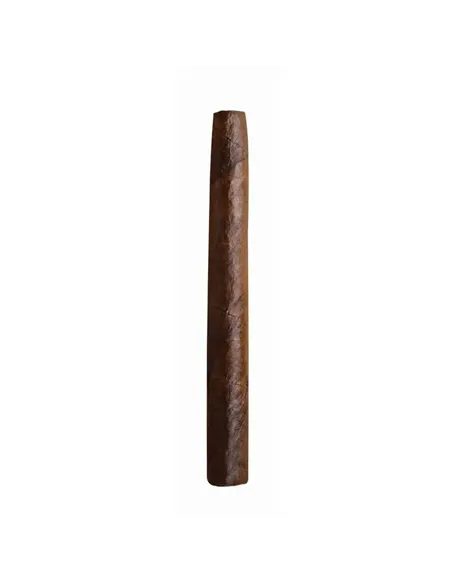 Сигариллы Dutch Delites Wild Brasil (50 шт.)