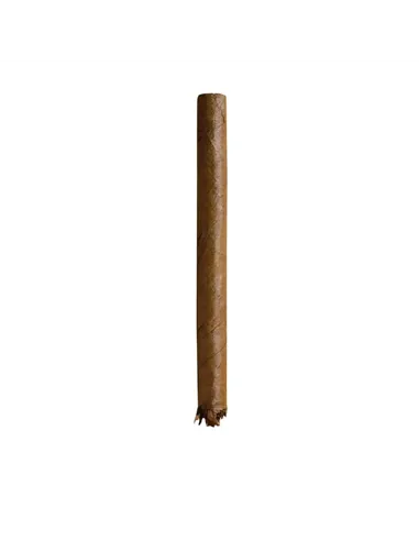 Сигариллы Dutch Delites Wild Sumatra (50 шт.)