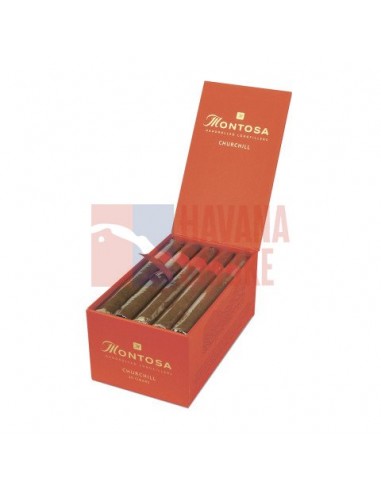 Montosa Churchill - купить в интернет-магазине Havana Smoke