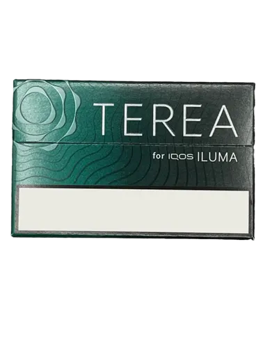 Стики Terea Black Green (Индонезия) (блок - 10 пачек)