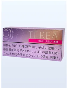 Стики TEREA Fusion Menthol Япония (блок)