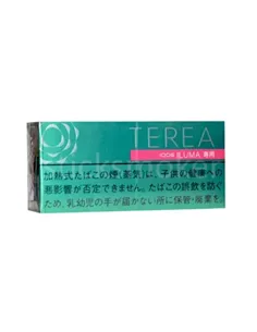 Стики TEREA Mint Япония (блок)