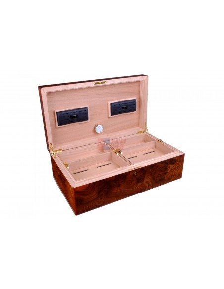 Хьюмидор Gentili Natura Morta на 200 сигар (инкрустация) - купить в интернет-магазине Havana Smoke