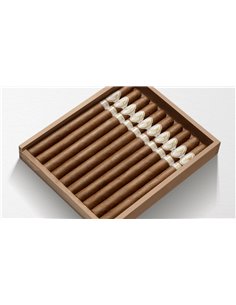 DAVIDOFF SIGNATURE NO. 1 LIMITED EDITION 2