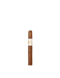 Principle Accomplice Classic Robusto - купить в интернет-магазине Havana Smoke