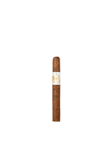 Principle Accomplice Classic Robusto - купить в интернет-магазине Havana Smoke