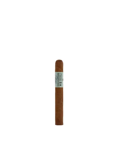 Principle Archive Line Collection Straphanger Mareva