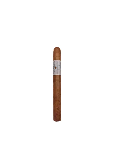 Principle Archive Line Collection Straphanger Corona Gorda