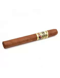 CASA MAGNA - COLORADO CORONA