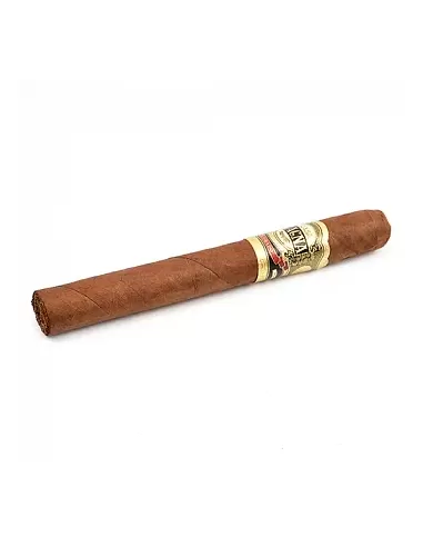 CASA MAGNA - COLORADO CORONA