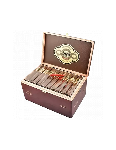  CASA MAGNA - COLORADO GIGANTOR