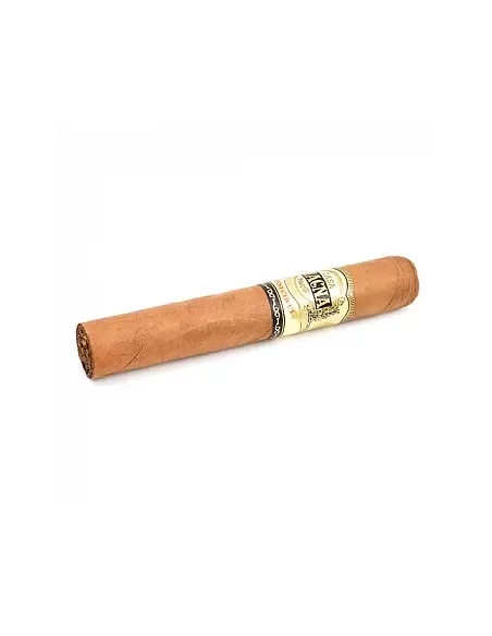 CASA MAGNA - CONNECTICUT ROBUSTO