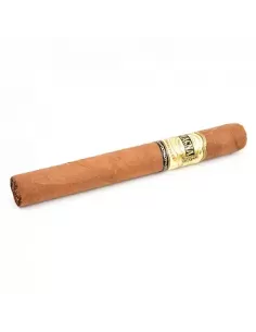 CASA MAGNA - CONNECTICUT TORO